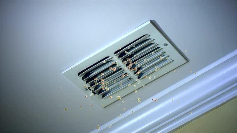 Best Affordable HVAC Duct Cleaning  in Lakeview, WA