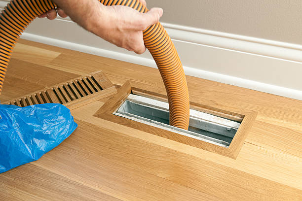 Best Affordable Duct Cleaning Services  in Lakeview, WA